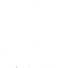 PLATNUM SOLUTION